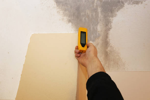 Best Indoor Air Quality Assessment  in Poway, CA