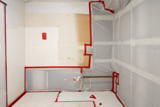 Best Industrial Mold Remediation  in Poway, CA