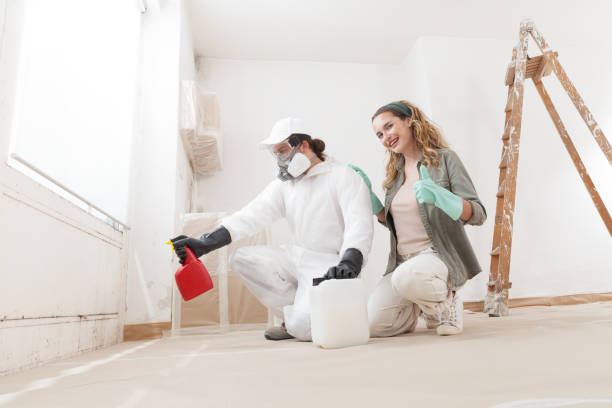 Poway, CA Mold Removal Company
